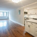 Prewar Transitional Gut Reno in Chelsea featuring kitchen and living area