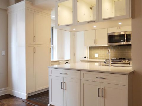 custom features for kitchen gut renovations Manhattan, NYC